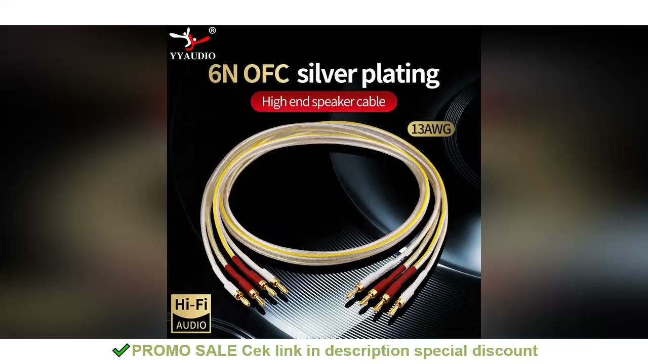 HIFI Silver-plated Speaker Cable High-end 6N OFC Speaker Wire for Amplifier Hi-fi Systems Y Plug Ban
