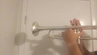 Sleigh Ride, Period 2, Eric Foss