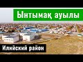 Село Ынтымак, Илийский район, Алматинская область, Казахстан, 2021.