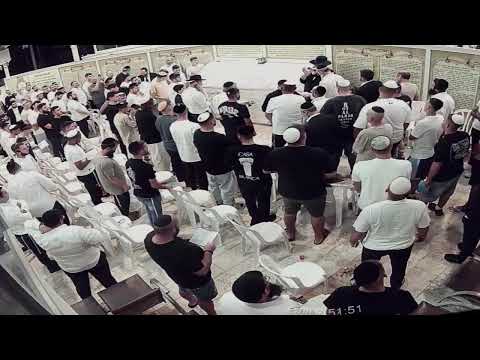 החיד"א -תניא יומי ובגובה העיניים-כ''ט אלול תשפ''ה