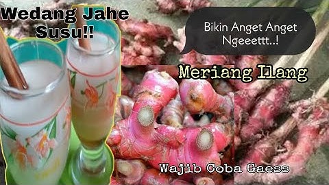 Resep Wedang Jahe Susu Nikmat dan Segar || Minuman Kesehatan
