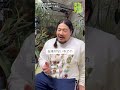 【一ノ瀬ワタル🌱】OAを見るのが怖い⁉︎/ドラマ『変態植物倶楽部』#short #shorts