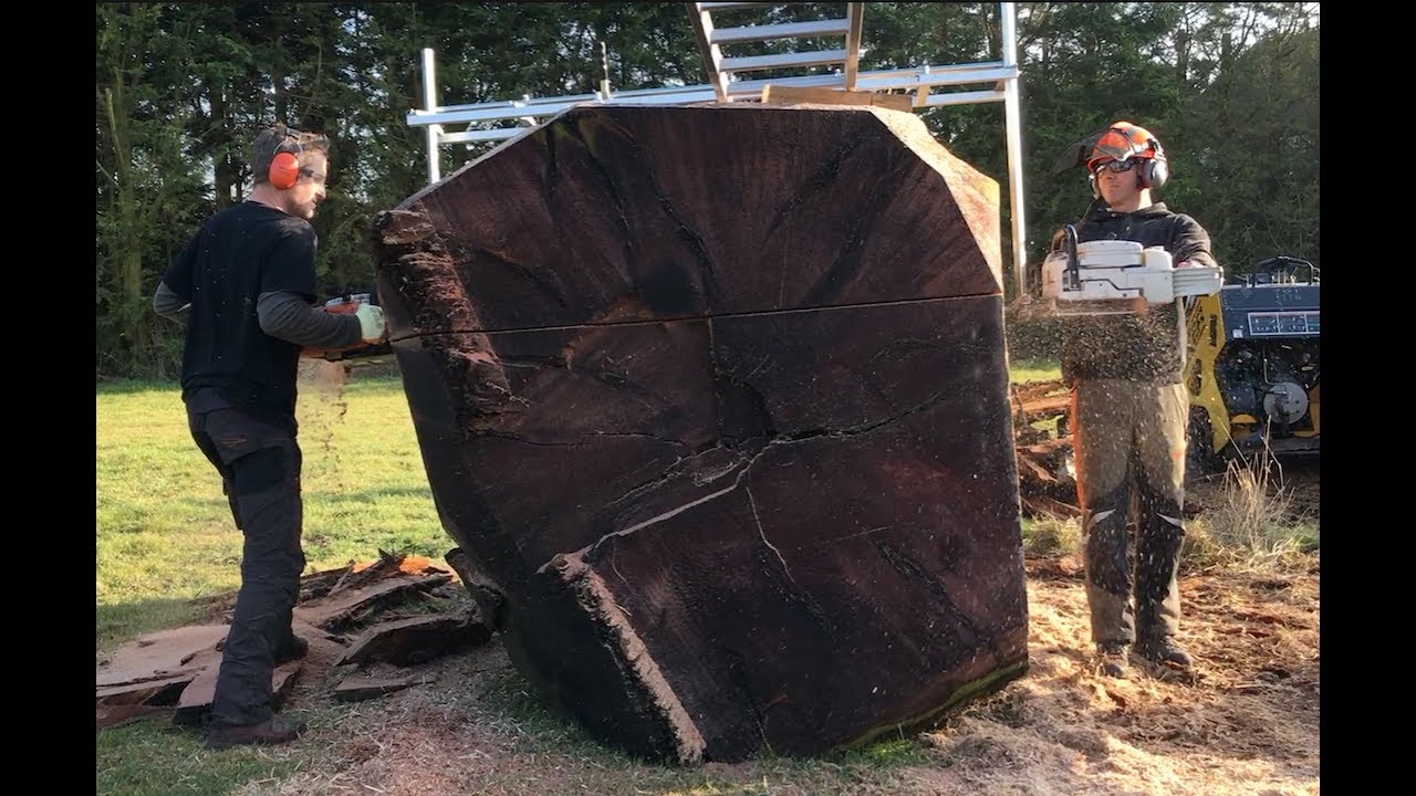 X2 Stihl ms 880 220cm vs big Redwood log - YouTube