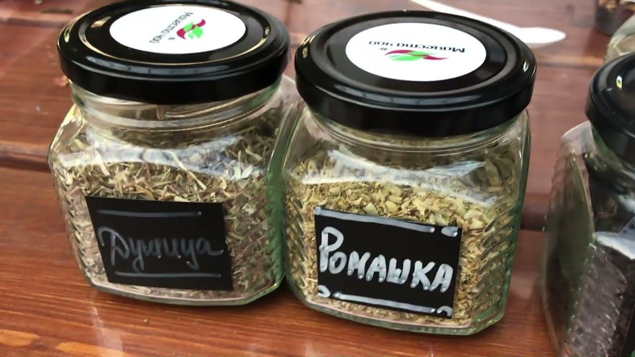 Продолжение экскурсии. Сочи. Мацеста. Фабрика чая.