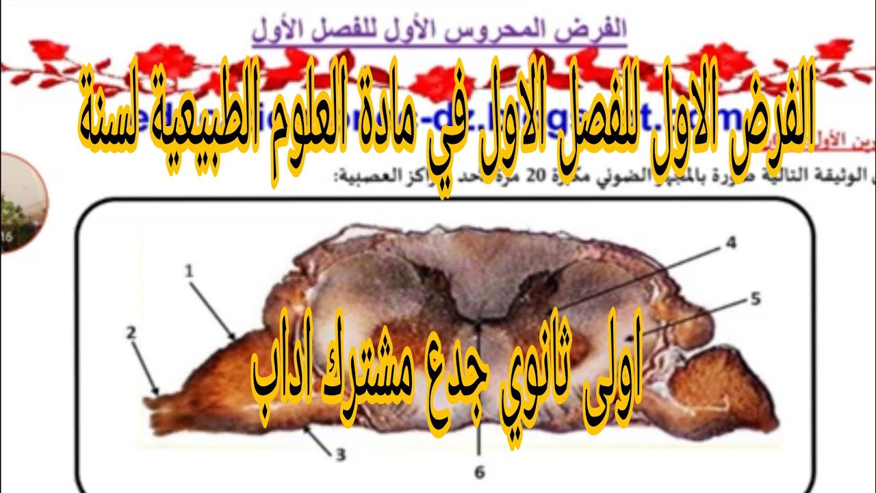 الفرض الاول للفصل الاول في مادة العلوم الطبيعية لسنة اولى ثانوي جدع مشترك اداب