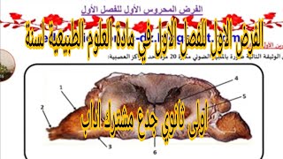 الفرض الاول للفصل الاول في مادة العلوم الطبيعية لسنة اولى ثانوي جدع مشترك اداب