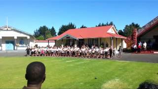 Maori Welcome WOMAD 2013