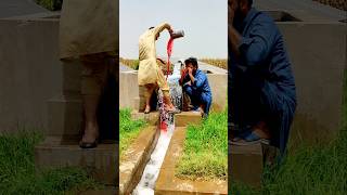 Download Lagu Malik Muaff Kar Ya Keaa Ker Deyya #ytshorts #trending #youtubeshort#viralshorts#shorts#india MP3