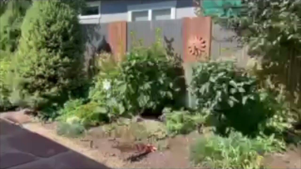 Just Listed - Beautiful Salida, CO Home