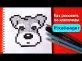 Как рисовать по клеточкам Собачку Простые рисунки How to Draw Dog Simple Pixel Art