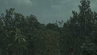 relax with rain and thunder sounds | rain sounds