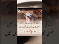 Zindagi Mai aik baat hamesha yad rakhan | golden words | famousquotes | Anmol tv