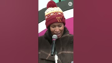 Bao Li and Qing Bao make official DC zoo debut