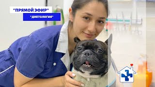 Прямой эфир с ветеринарным диетологом. Крым, Россия