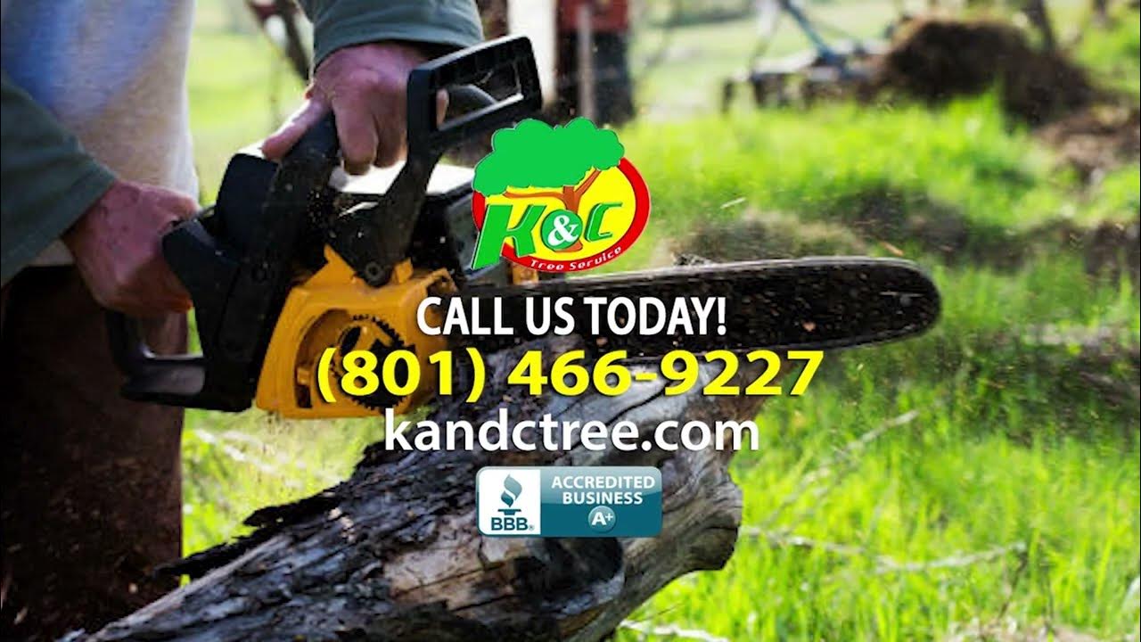 K & C Tree Service YouTube
