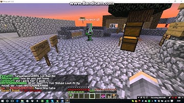 Scamming on skyblock.net