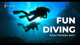FUN DIVE Pulau Pramuka Part 1