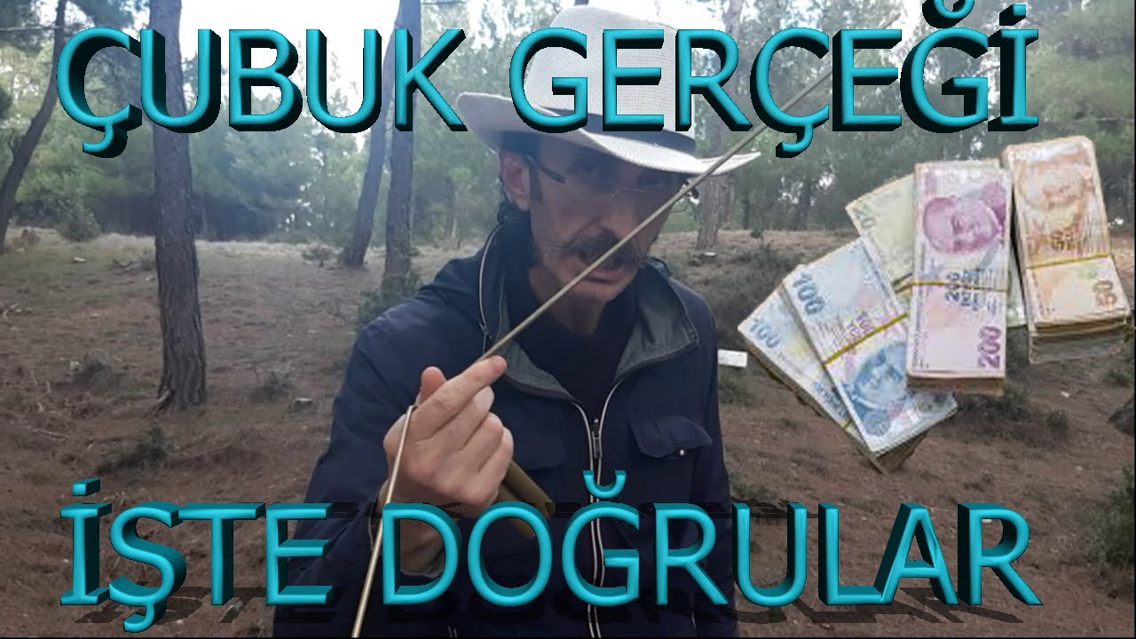define nasil bulunur panosundaki pin