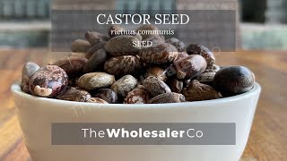 Castor seeds - Beej ARANDI - Ricinus Communis Linn - TheWholesalerCo