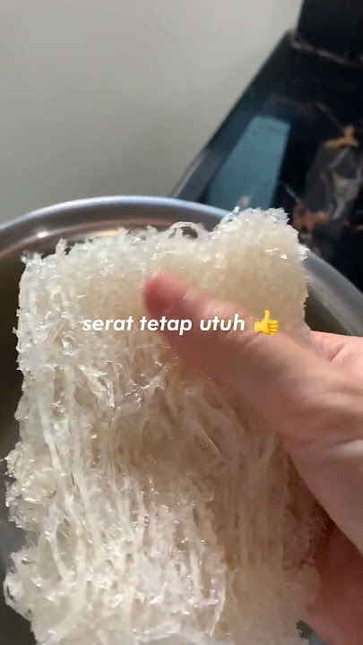 PT HOLYNEST|| Cara memasak sarang burung walet #sarangwalet #sarangburungwalet #videoshortsviral