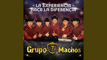 El Próximo Tonto / La Mejor de Todas / Ay Amigo - Grupo 7 Machos Junto a Los Pincheira del Sur