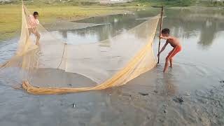 Traditional Village Fishing Smart Boys Catching Fish By Net Resimi