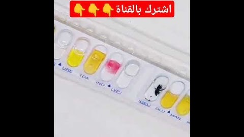 E.coli #microscope #microscopic #biology #hospital #microscopy#ترند #microscopiclife#لايك #bacteria