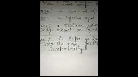 Grade 7 State:English-Bridge COurse Part 1