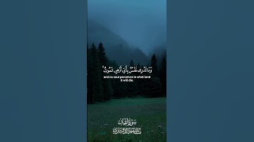 ياسر الدوسري من سوره لقمان #fyp #ياسر_الدوسري #quran #قرآن_كريم