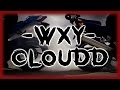 WXY CLOUDD GSX R 1000 2015 WXY CLOUDD GSX R 1000 2015