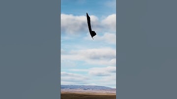 Thumbnail of F-22 Raptor Defies Physics – Thrust Vectoring in Action #f22 #usaf #military