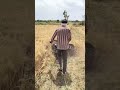 karobar 📈☠️#farming #kisan