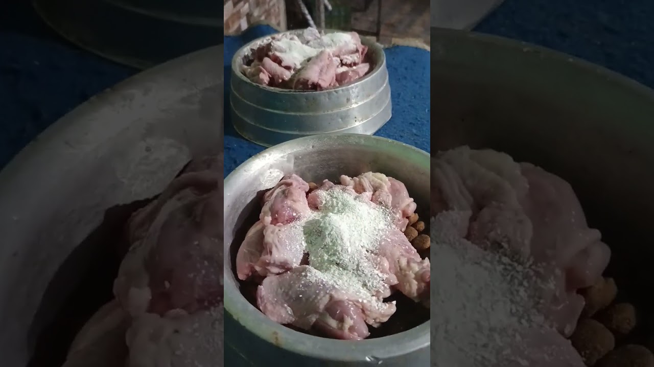 Alimentação de pitmonster com frango cru e suplementos