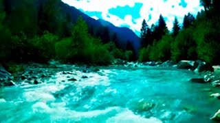 USA Flowing River in Autumn Forest 4k. Relaxing River, Water Sounds, White Noise for Sleep, Study