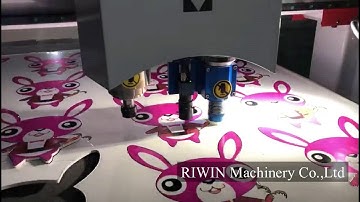 RIWIN CNC ROUTER WITH CCD camera and oscillation knife