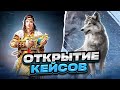 ОТКРЫТИЕ КЕЙСОВ В PUBG MOBILE - НОВЫЙ ПИТОМЕЦ ВОЛК И НОВЫЙ КЕЙС! ИТОГИ DTS CUP | ПУБГ МОБАЙЛ НА ПК