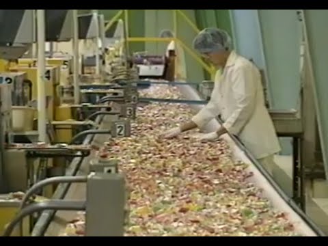 Business Report: Brach's Candy