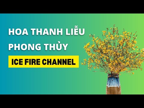 Video: Cây liễu tím trong y học và cảnh quan