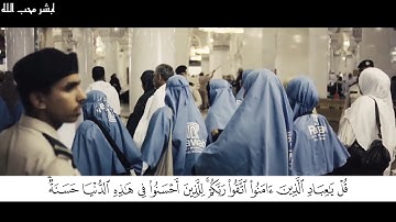 أمن هو قانت انآء اليل  ..تلاوة عطرة القارئ  عبد السلام درع  سورة الزمر