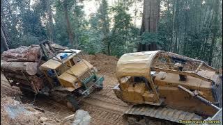 lori balak [ logging trucks santaiwong Malaysia ] up the hill of a soft road