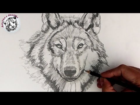 Vídeo: Com Dibuixar Una Deessa