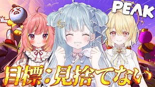 ☾ ໋〖 PEAK 〗ぜったい一緒にゴールしようね、約束 .ᐟ.ᐟ 🗻 #ういひかましゅ　〖 天羽衣┊ななしいんく 〗