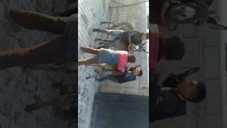 Eseklerle Koyde Bi Ani