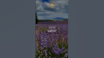 أمًنِ يَجّيَبً آلَمًضطِر إذِآ دٍعٌآهّ|| القارئ محمد اللحيدان من سورة النمل #القرآن_الكريم #تلاوة