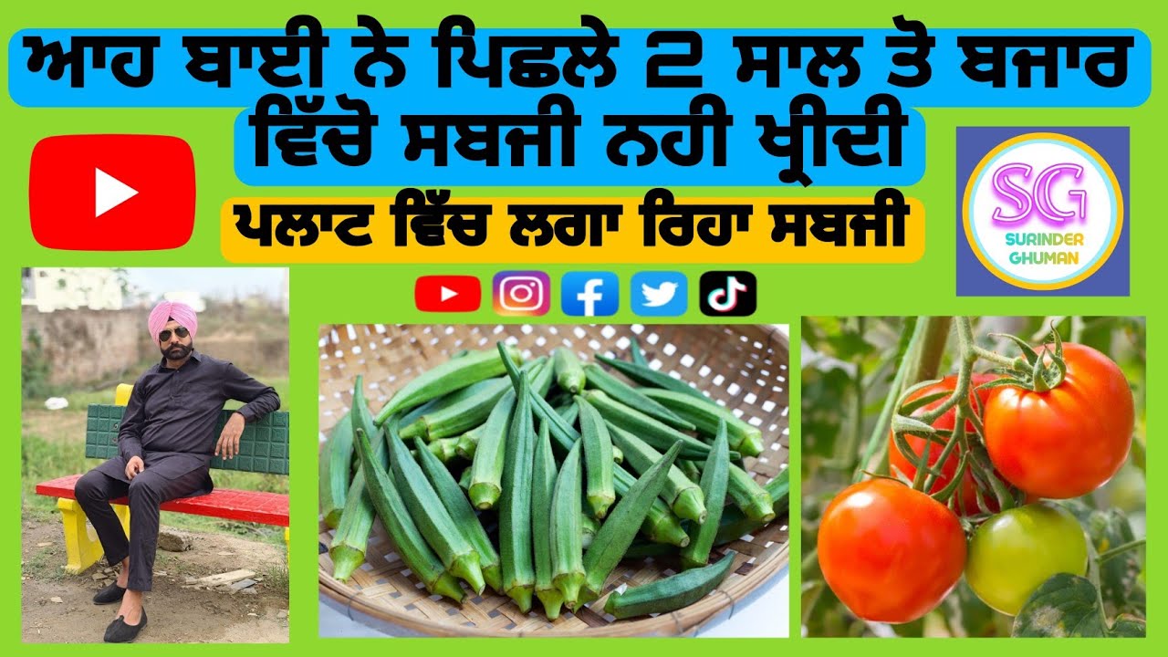 Vegetables Sainik Vihar Jalandhar