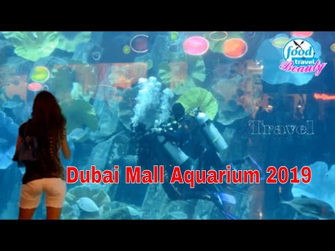 Dubai Aquarium Underwater Zoo Dubai Mall | Mermaids of Arabia, Dubai Mall Aquarium, 2019