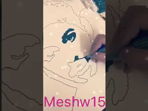 بوب ارت 15