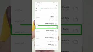 ازاي تشغل رسائل الواتساب الصوتية التالفة لو كانت مهمة screenshot 4