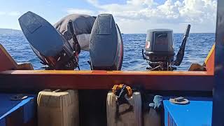 Naik Speedboat dari Sofifi - Ternate, Mesin mati tersangkut karung #ternate #maluku #malukuutara