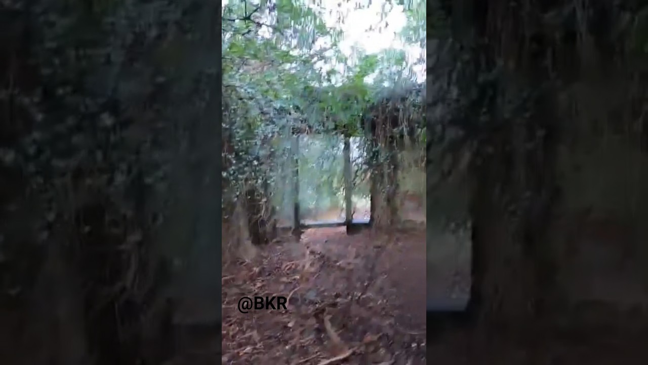 Коттедж Торвуд XIX века • Шотландия